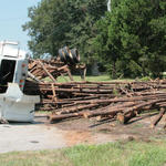 Logs-Truck-Wreck-022.jpg