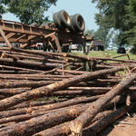 Logs-Truck-Wreck-024.jpg