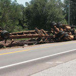 Logs-Truck-Wreck-043.jpg
