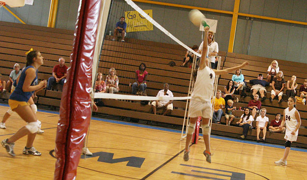 EWMS-EA-Volleyball-043.jpg
