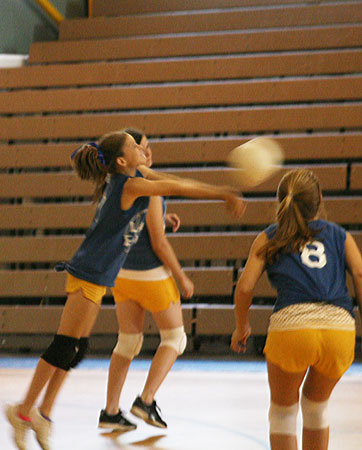 EWMS-EA-Volleyball-046.jpg