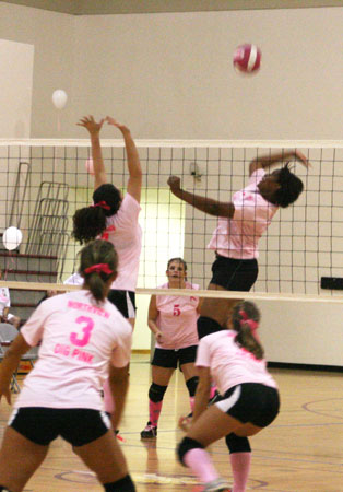 Dig-Pink-019.jpg