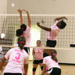 Dig-Pink-019.jpg