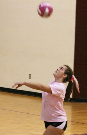 Dig-Pink-037.jpg