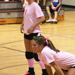 Dig-Pink-039.jpg