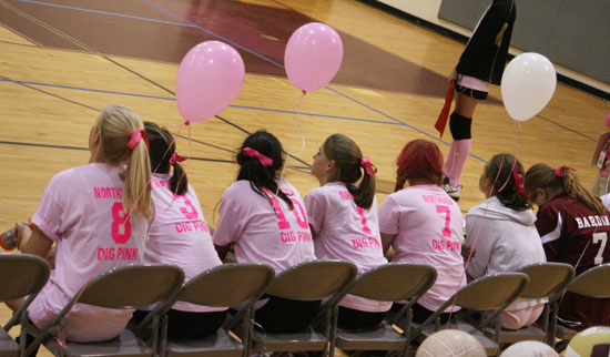 Dig-Pink-041.jpg