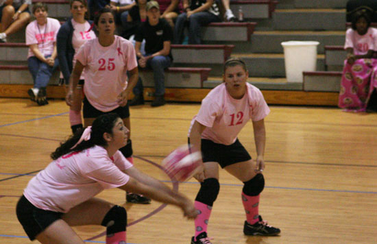 Dig-Pink-050.jpg