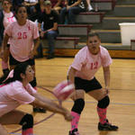 Dig-Pink-050.jpg