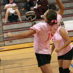 Dig-Pink-054.jpg
