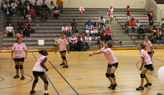 Dig-Pink-056.jpg