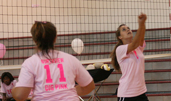 Dig-Pink-064.jpg