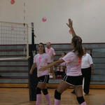 Dig-Pink-070.jpg