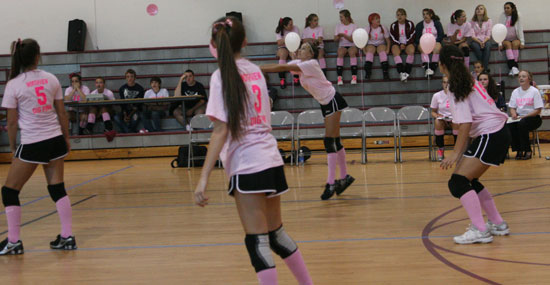 Dig-Pink-071.jpg