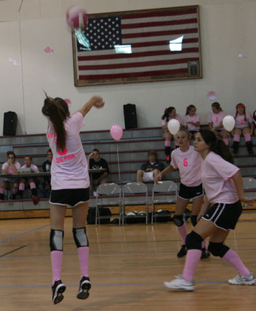 Dig-Pink-072.jpg