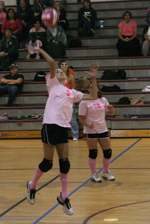 Dig-Pink-087.jpg