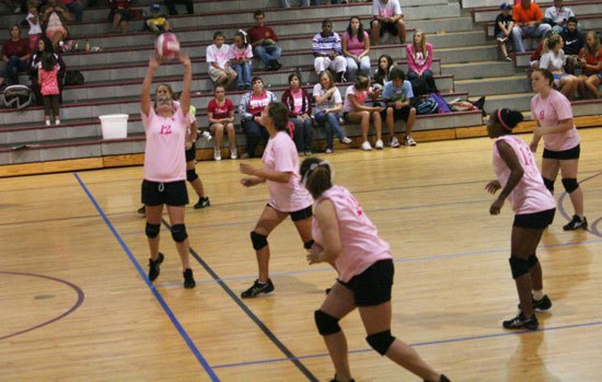Dig-Pink-088.jpg