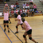 Dig-Pink-088.jpg