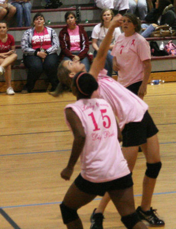 Dig-Pink-092.jpg