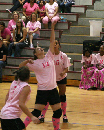 Dig-Pink-096.jpg