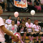Dig-Pink-110.jpg