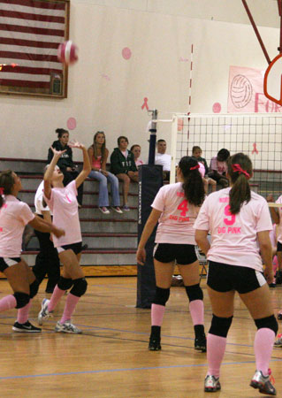 Dig-Pink-111.jpg