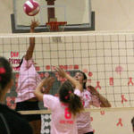 Dig-Pink-112.jpg