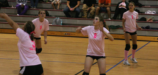 Dig-Pink-113.jpg