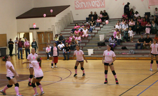 Dig-Pink-115.jpg