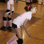 Dig-Pink-202.jpg