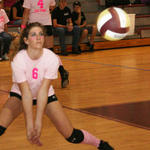 Dig-Pink-204.jpg
