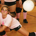 Dig-Pink-208.jpg
