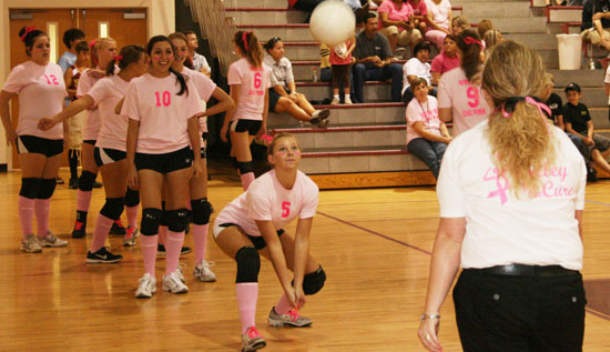 Dig-Pink-210.jpg