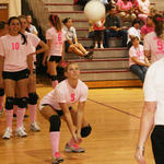 Dig-Pink-210.jpg
