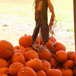 Pumpkins-025.jpg