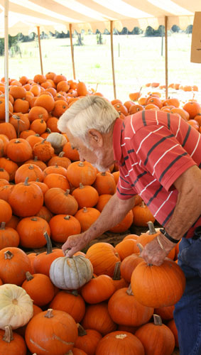 Pumpkins-027.jpg