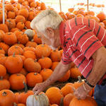 Pumpkins-027.jpg