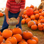 Pumpkins-030.jpg