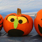 Pumpkins-036.jpg