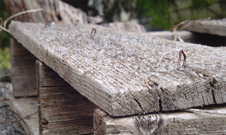 Hwy 4 Canoe Creek (Nikki Factor)