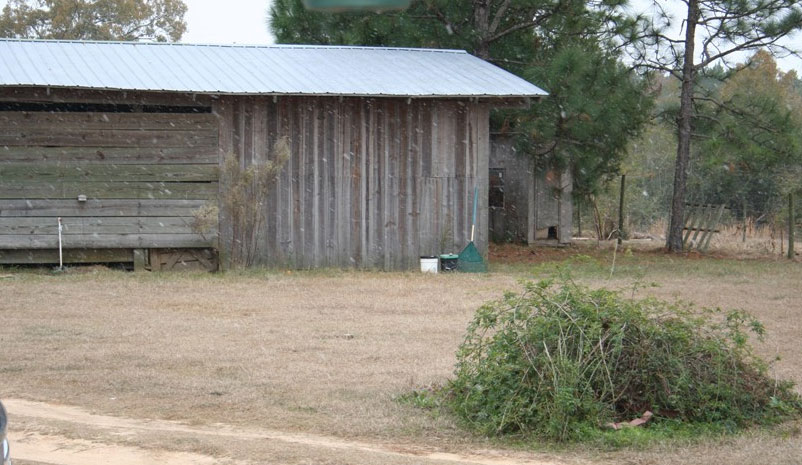 Century (Robyn Borelli)
