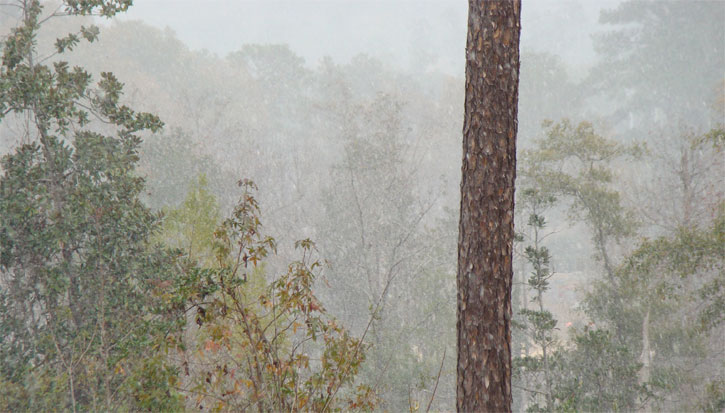 Flomaton (Alisa Hart)