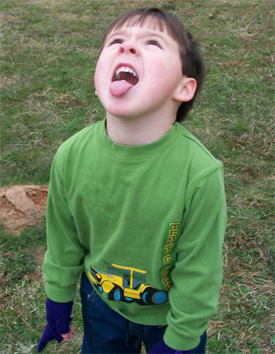 Bratt Elementary (Cynthia Wilson)