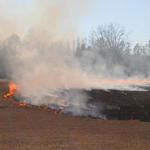 Brush-Fire-Quintette-014.jpg