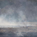 Brush-Fire-Quintette-030.jpg