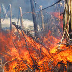 chance-brush-fire-011.jpg