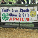 Livestock-Show-012.jpg