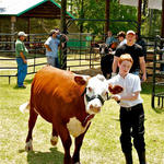 Livestock-Show-019.jpg