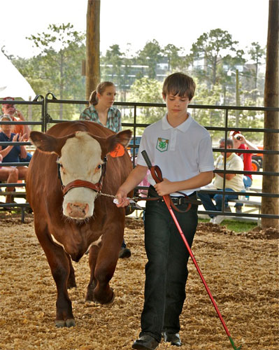 Livestock-Show-026.jpg