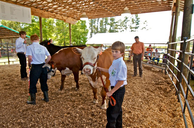 Livestock-Show-027.jpg