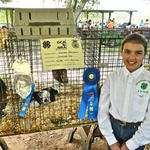 Livestock-Show-028.jpg
